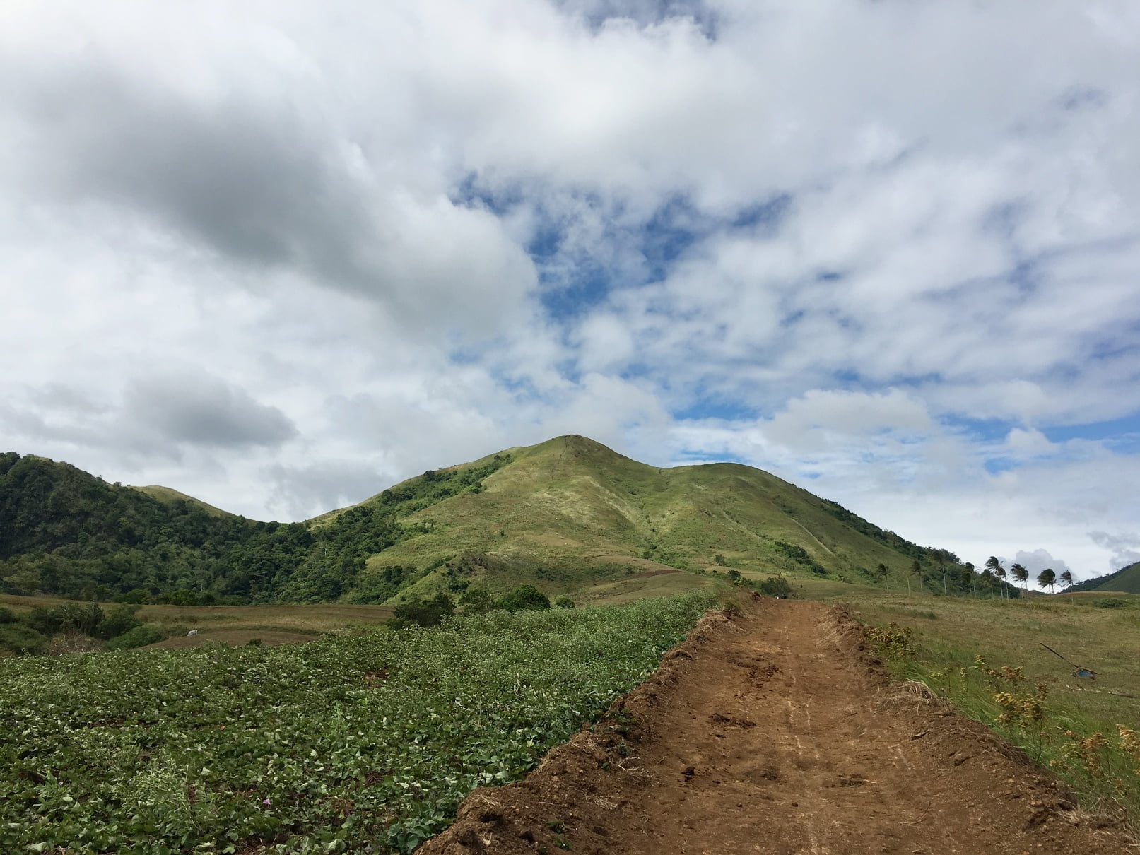 mt_talamitam (51)