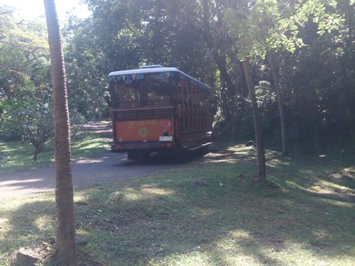 HelloImFrecelynne_Corregidor_285