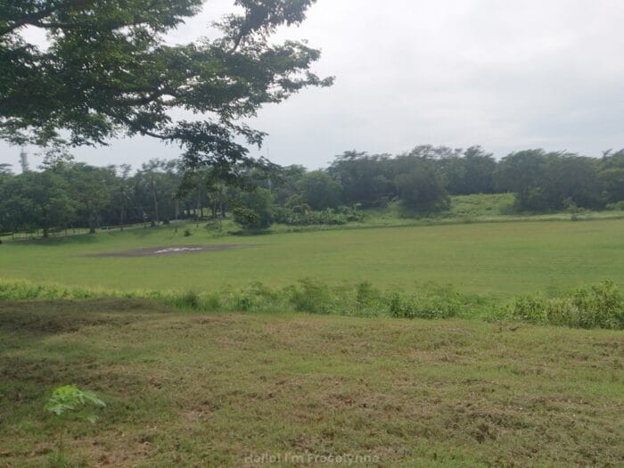 HelloImFrecelynne_Corregidor_347
