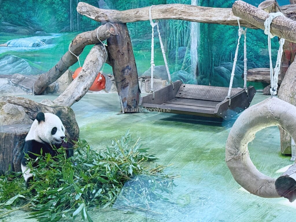 Taipei Zoo_Guide to Taipei_043_helloimfrecelynne