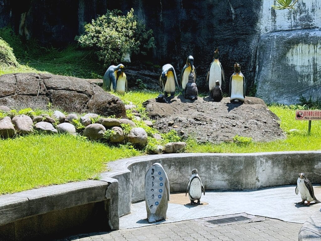 Taipei Zoo_Guide to Taipei_144_helloimfrecelynne