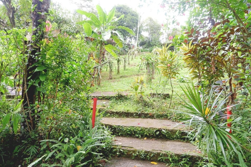Reptile Adventure Tagaytay_324_helloimfrecelynne
