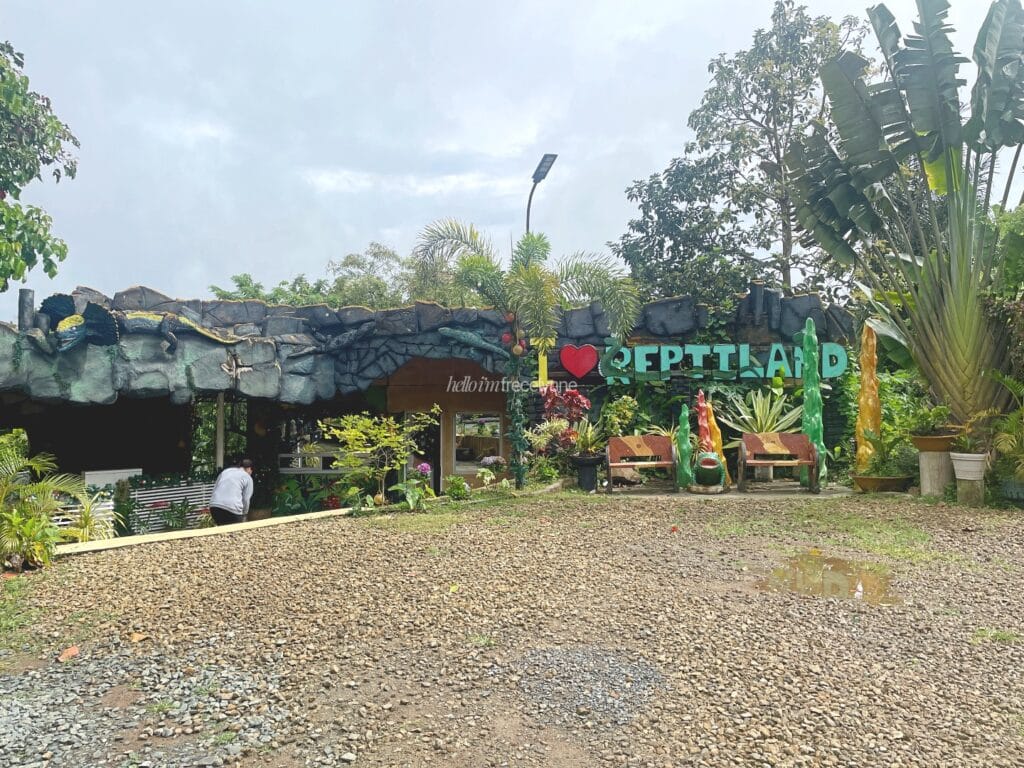 Reptile Adventure Tagaytay_330_helloimfrecelynne