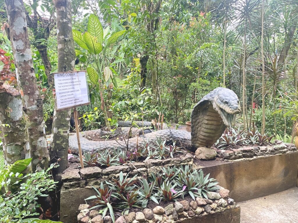 Reptile Adventure Tagaytay_367_helloimfrecelynne