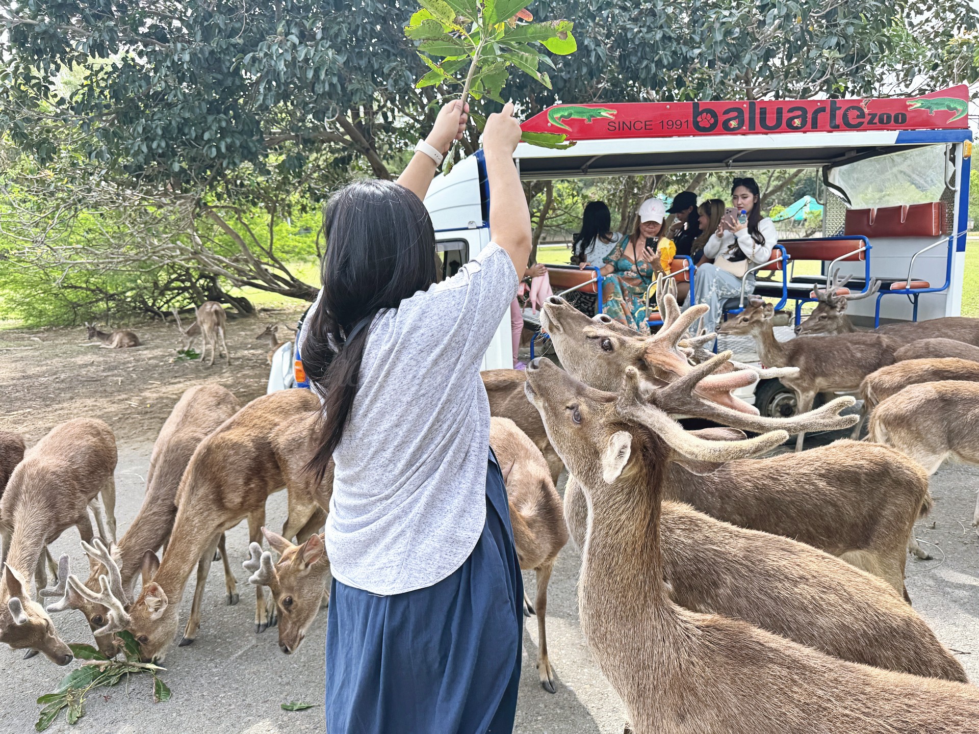Review: Baluarte Zoo Vigan with a Kid