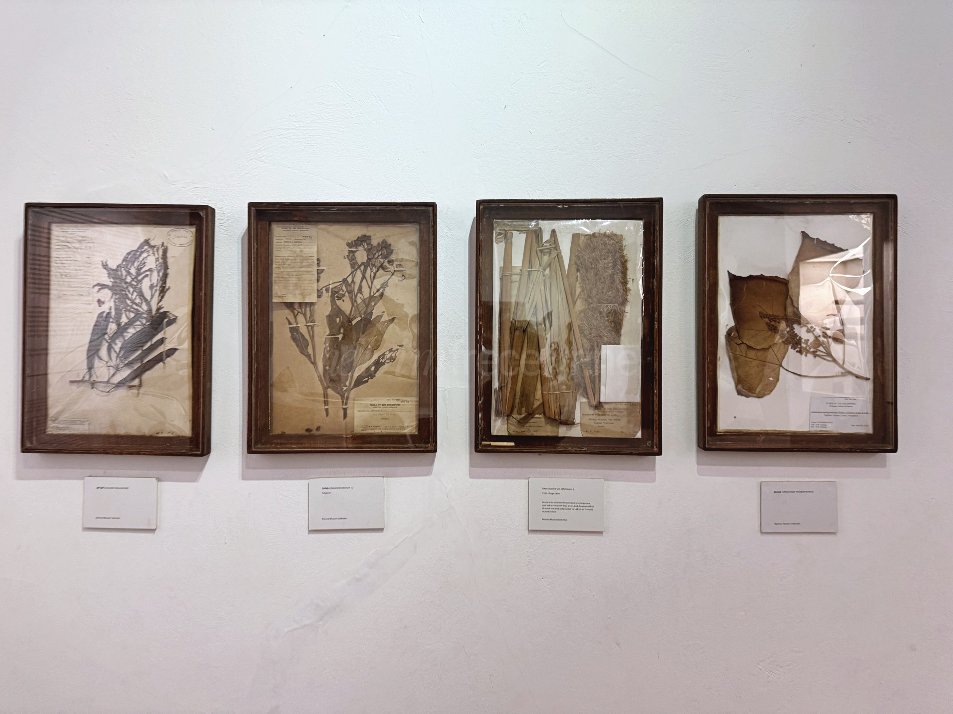 National Museum of the Philippines – Ilocos (Padre Burgos Museum)_091_helloimfrecelynne